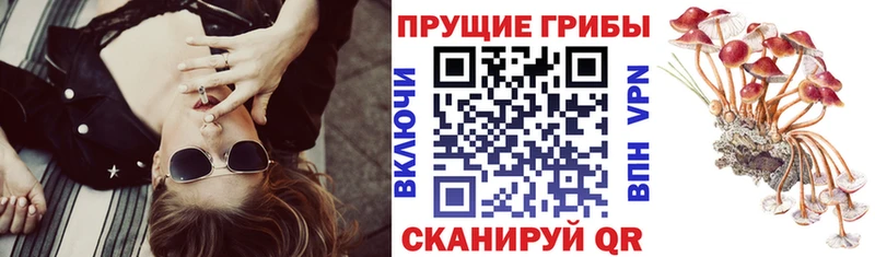 Псилоцибиновые грибы MAGIC MUSHROOMS Кохма