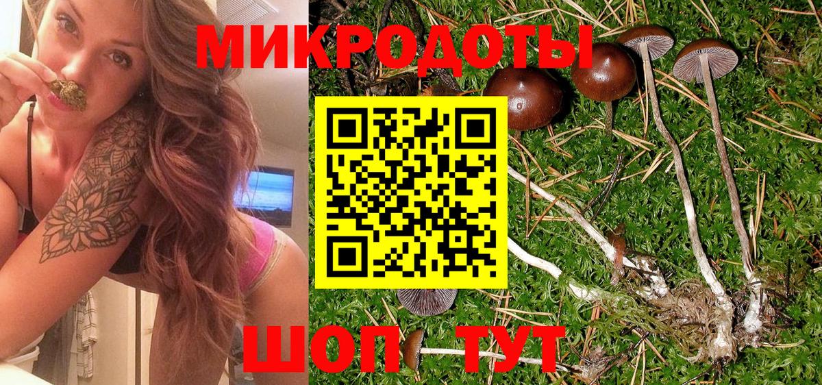 Галлюциногенные грибы Psilocybe  Вход с VPN  Псилоцибиновые грибы ЛСД  Кохма 